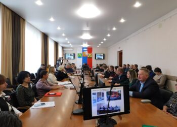 Заседание комиссии. Фото Анны Зубаревой