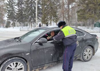 Фото пресс-службы отдела МВД "Искитимский"