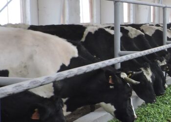 Фото из архива редакции