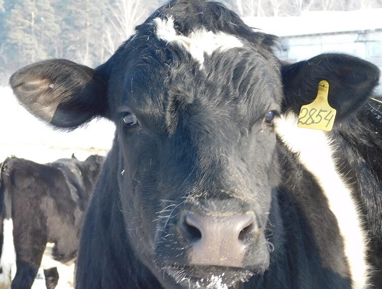 Фото из архива редакции