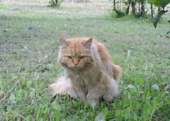 Фото из архива редакции