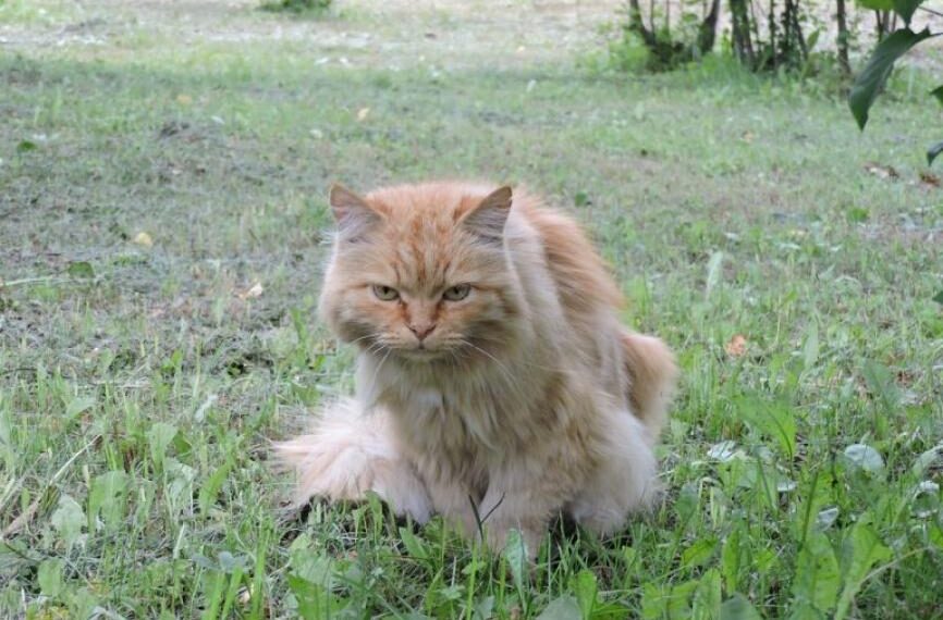 Фото из архива редакции