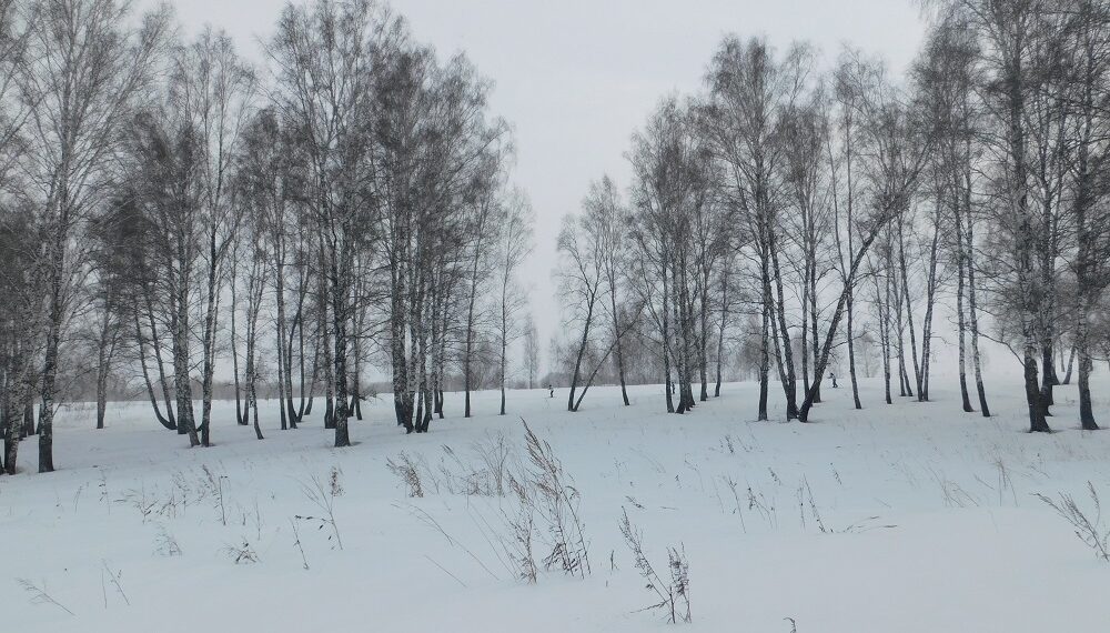 Март. Фото Анны Зубаревой