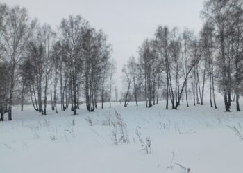 Март. Фото Анны Зубаревой