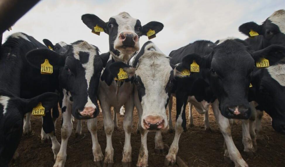 Фото из архива ИД "Советская Сибирь"