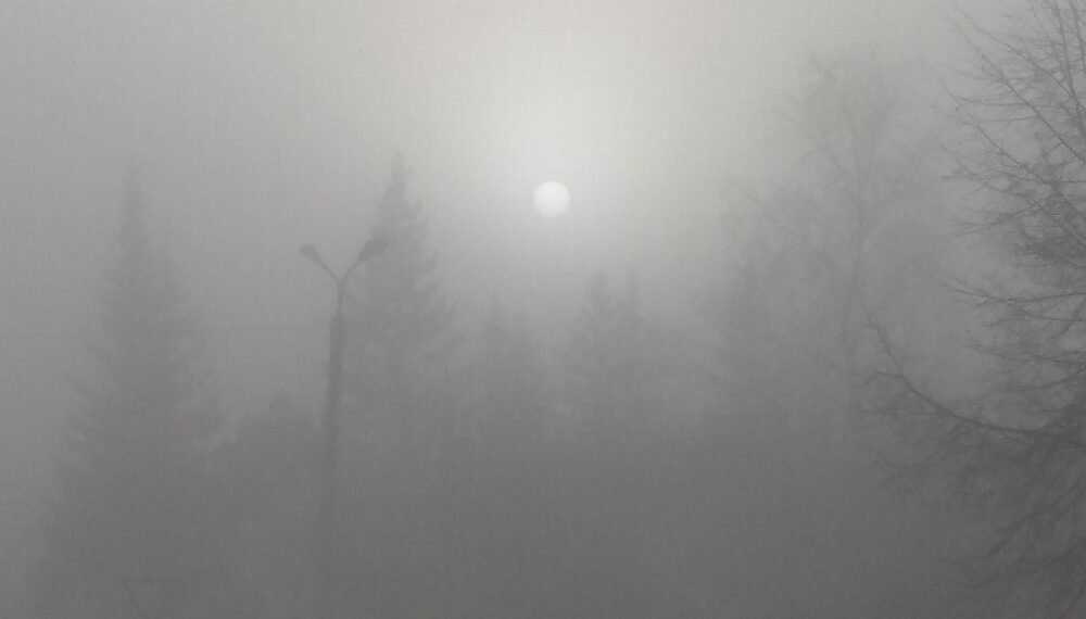 Туман. Фото Анны Зубаревой