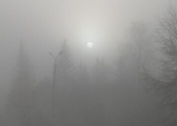 Туман. Фото Анны Зубаревой