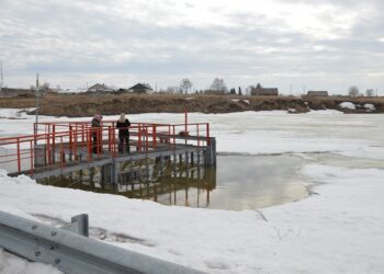 Фото пресс-службы администрации Искитимского района
