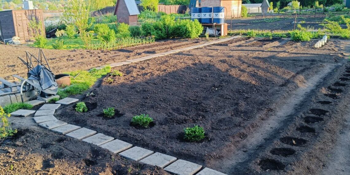 Фото из архива редакции