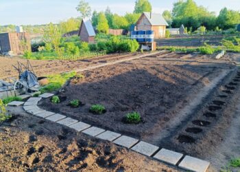 Фото из архива редакции