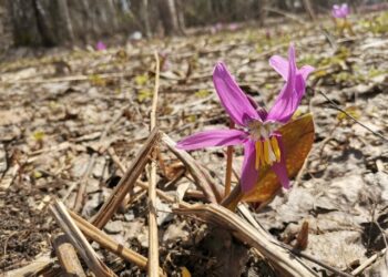 Фотография администрации легостаевского сельсовета