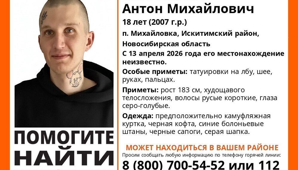 Ориентировка поискового отряда ЛизаАлерт