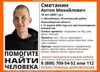 Ориентировка поискового отряда ЛизаАлерт