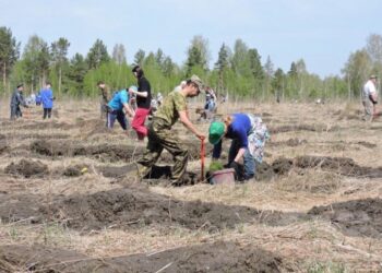Фото из архива редакции