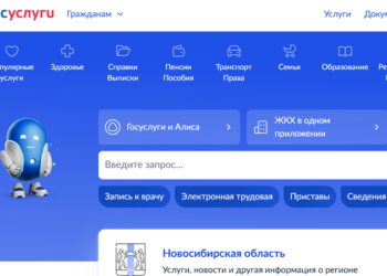 Скриншот сайта Госуслуг