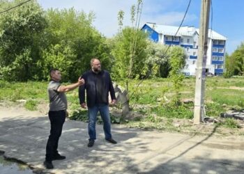 Фото пресс-службы администрации Искитима