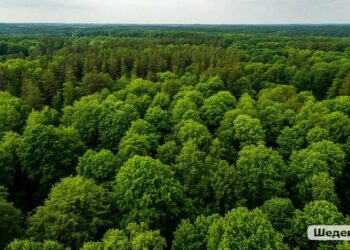 Картинка сгенерирована нейросетью Шедеврум