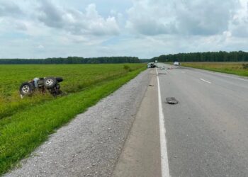 Фото Госавтоинспекция Новосибирской области