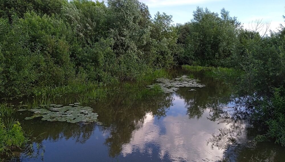 Фото Анны Зубаревой