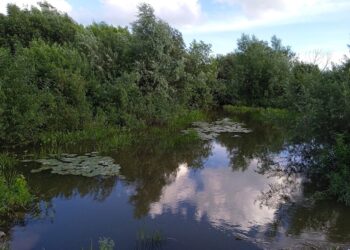 Фото Анны Зубаревой