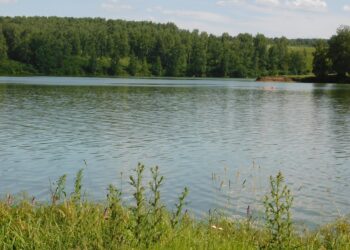 Фото Анны Зубаревой