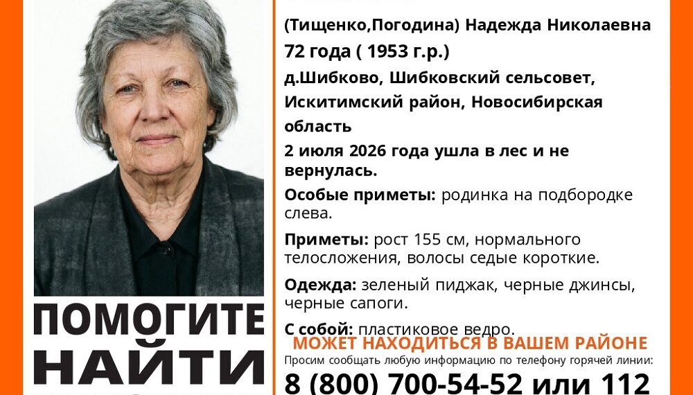 Фото Поисковый отряд ЛизаАлерт Новосибирской области