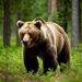 Картинка сгенерирована нейросетью Шедеврум
