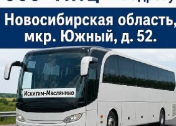 Фото пресс-службы администрации Искитима