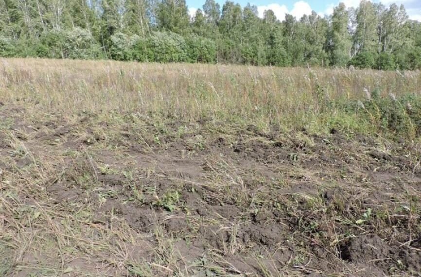 Фото из архива редакции