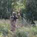 Фотография пресс-службы администрации Искитимского района