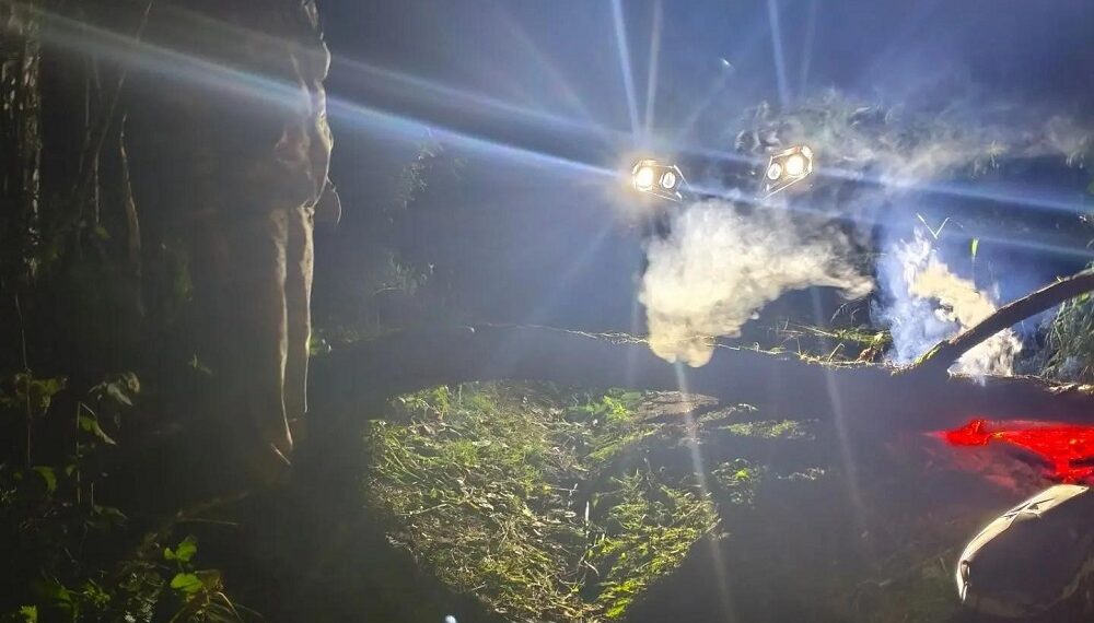 Фотография Поисково-спасательная служба НСО (16+)