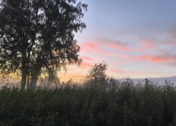Август. Вечер. Фото Анны Зубаревой