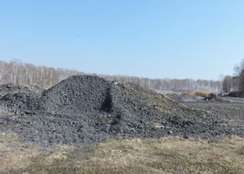 Фото из архива редакции. Носит иллюстративный характер