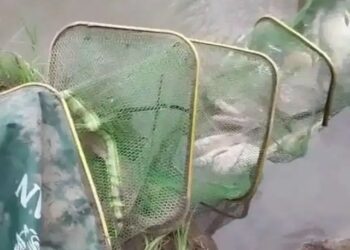 Фотография пресс-службы Прокуратуры Новосибирской области