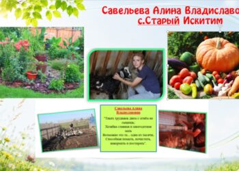 Изобравжение администрации Искитимского района