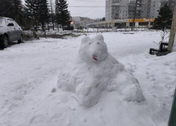 Фото Анны Зубаревой