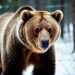 Картинка сгенерирована нейросетью Шедеврум