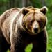 Картинка сгенерирована нейросетью Шедеврум