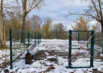 Фотография пресс-службы администрации города Искитима