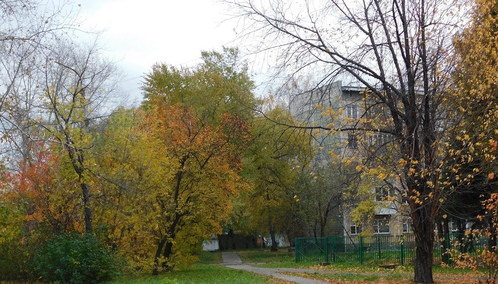 Фото Анны Зубаревой