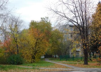 Фото Анны Зубаревой