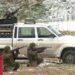 Фото пресс-службы Центрального военного округа