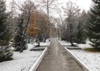 Синоптики обещают мокрый снег 14 октября. Фото Анны Зубаревой из архива редакции